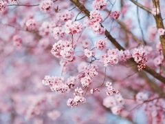 -汉中石门栈道景区