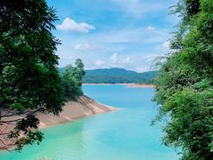 -广州市流溪河国家森林公园