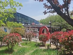 -崂山仰口游览区