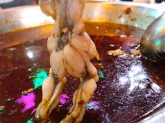 -蛙一刀·麻椒鱼火锅(金仙桥店)