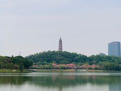 -顺峰山公园