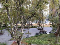 -和平公园