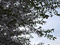 -山东外贸职业学院