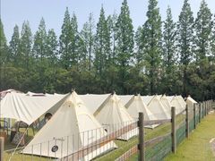 -前小桔亲子创意农场·草莓采摘·露营烧烤
