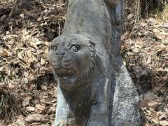 -商洛老君山旅游风景区