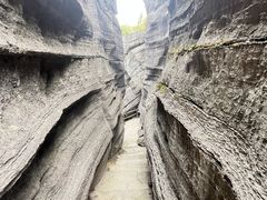 -梭布垭石林景区