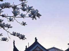 -长春观