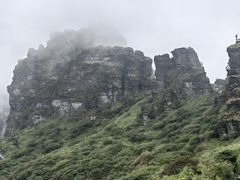 -亮欢寨酸汤鱼(沙冲路店)