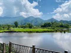 -大九湖