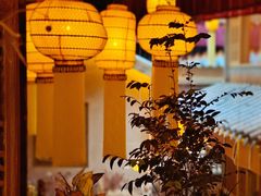 -叶叶菩提·晋福宫