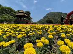 -广州市石门国家森林公园