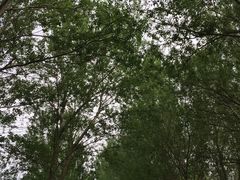 -长春公园(普阳街道)