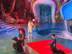 -烟台海昌鲸鲨海洋公园