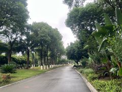 -府河摄影公园