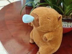 -廊坊固安福朋喜来登酒店