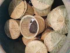 -中华茉莉园