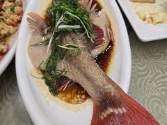 -湛江渔港·大排档(乐园路总店)