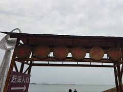 -北海金海湾红树林生态旅游区