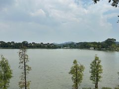 -美的鹭湖森林度假区