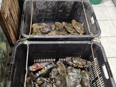 -無招牌海鮮(芽笼店)