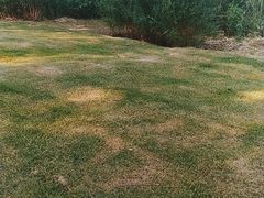 -昆山城市生态森林公园