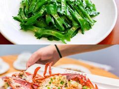 -亚龙湾热带天堂森林公园