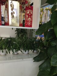 -白博士面部护理&头皮护理