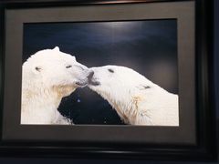 -罗红摄影艺术馆