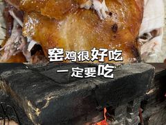 -罗浮山嘉宝田森林温泉度假酒店