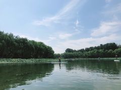 -WhaleSports户外水上运动俱乐部(朝阳公园店)