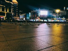 -人民防洪胜利纪念塔