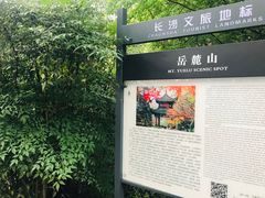 -茶颜悦色(岳麓山顶店)