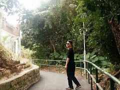 -南丫岛