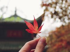 -岳麓山风景名胜区