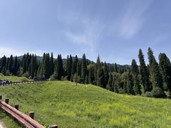-新疆那拉提国家旅游度假区