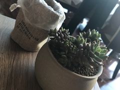 -翡翠36餐厅(浦东香格里拉店)