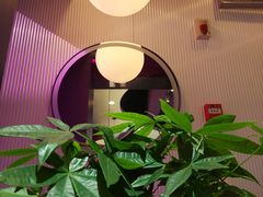 -舞素卷菜煎饼.糁汤(宽厚里店)