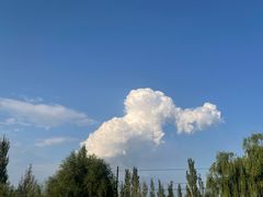 -银肯塔拉沙漠生态旅游景区