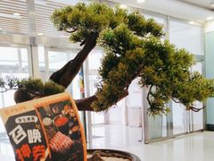 -呷哺呷哺 小火锅 (浦东新欧尚超市店)