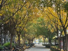 -北京理工大学(中关村校区)