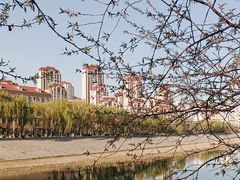 -桃花堤公园