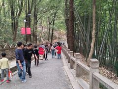 -灵岩山风景区