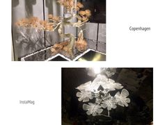 -桐爷小馆(广渠门店)