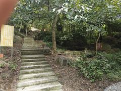 -岣嵝峰国家森林公园