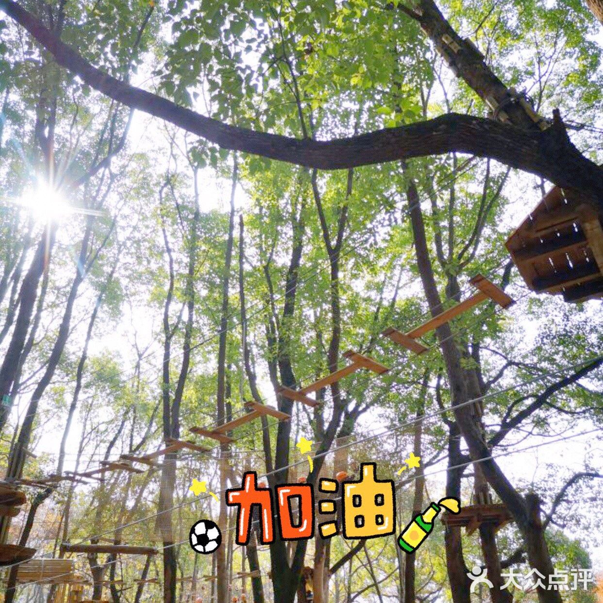 这个乐园有很刺激的树上探险可以玩