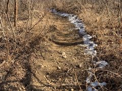 -北京西山国家森林公园