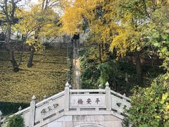 -灵岩山风景区