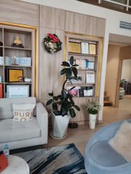 -百秀名媛纹绣美学护肤中心