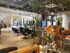 -Mentor Hair Salon