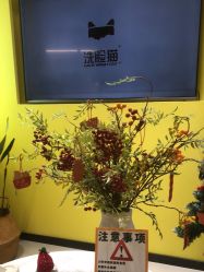 -洗脸猫·洗脸吧(北京大兴大悦春风里店)